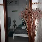 Flor T1 * Nazaré